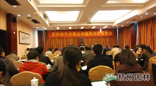 彩运网(中国游)官方网站