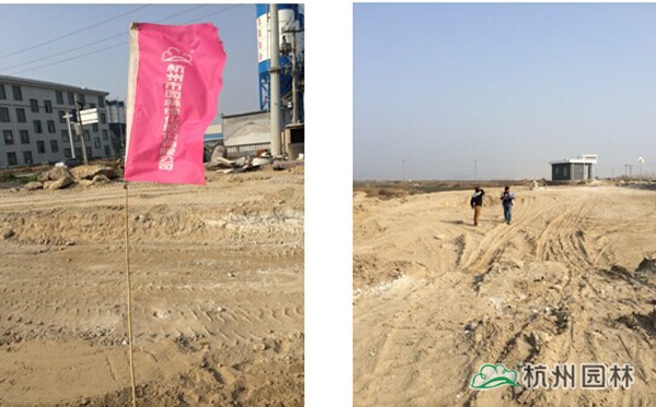 彩运网(中国游)官方网站