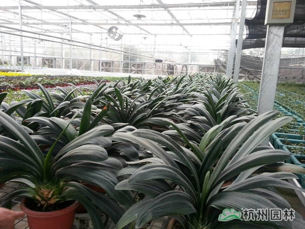 彩运网(中国游)官方网站