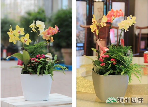 彩运网(中国游)官方网站