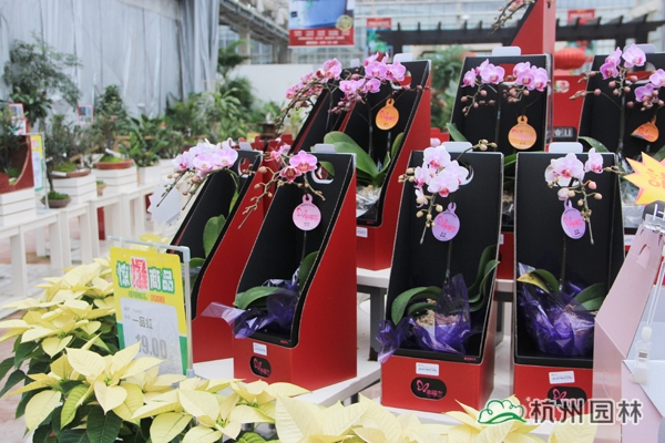 彩运网(中国游)官方网站