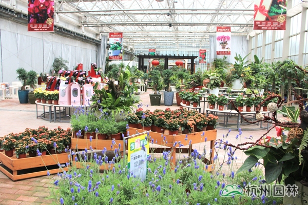 彩运网(中国游)官方网站