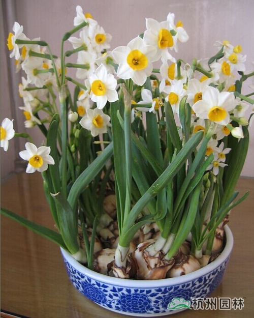 彩运网(中国游)官方网站