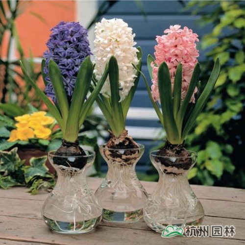 彩运网(中国游)官方网站