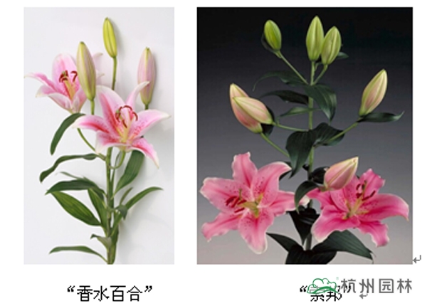 彩运网(中国游)官方网站