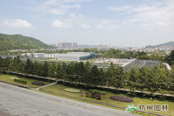 彩运网(中国游)官方网站