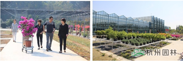 彩运网(中国游)官方网站