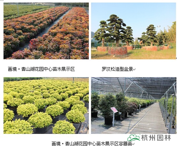 彩运网(中国游)官方网站