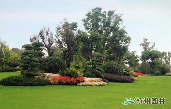 彩运网(中国游)官方网站