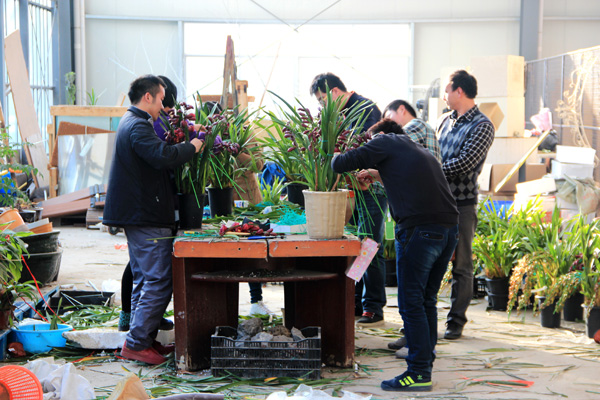 彩运网(中国游)官方网站