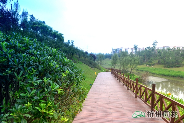 彩运网(中国游)官方网站