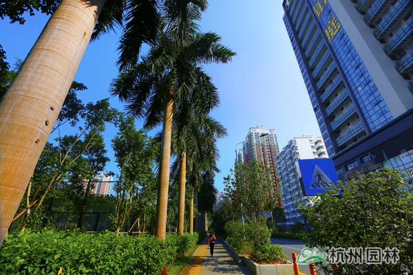 彩运网(中国游)官方网站