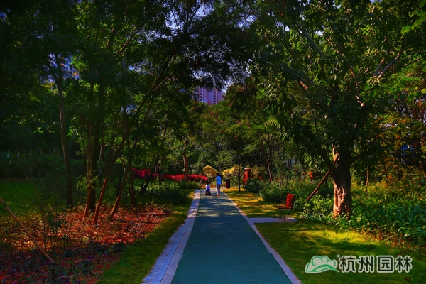 彩运网(中国游)官方网站