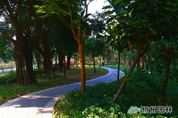 彩运网(中国游)官方网站