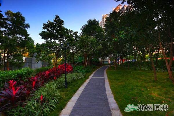 彩运网(中国游)官方网站