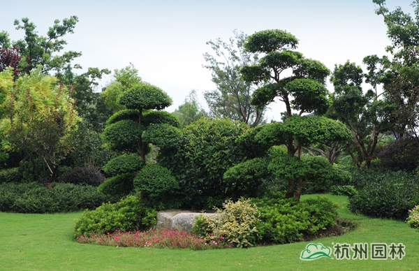 彩运网(中国游)官方网站