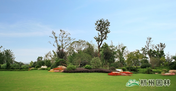 彩运网(中国游)官方网站