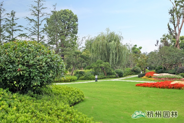 彩运网(中国游)官方网站