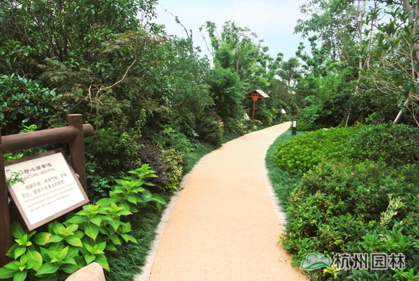 彩运网(中国游)官方网站