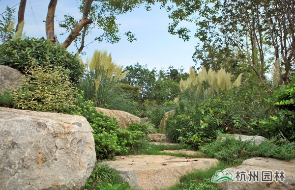 彩运网(中国游)官方网站