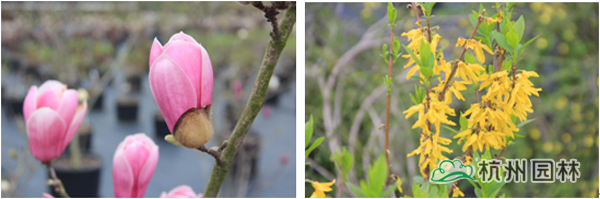 彩运网(中国游)官方网站