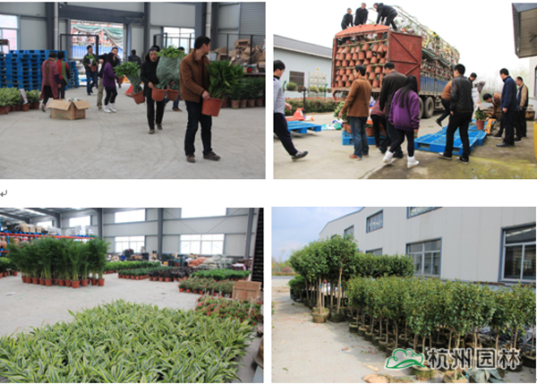 彩运网(中国游)官方网站