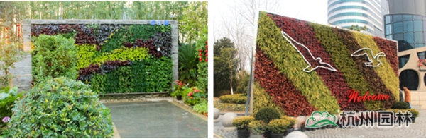 彩运网(中国游)官方网站