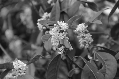 彩运网(中国游)官方网站