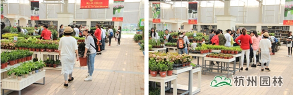 彩运网(中国游)官方网站