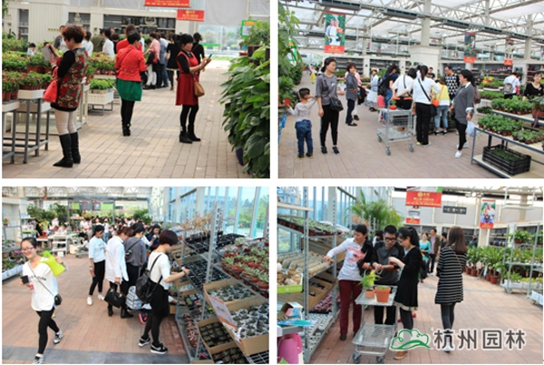 彩运网(中国游)官方网站