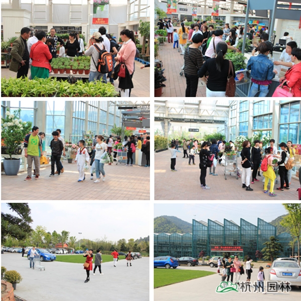 彩运网(中国游)官方网站