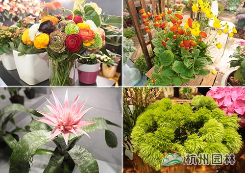 彩运网(中国游)官方网站