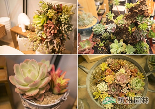 彩运网(中国游)官方网站