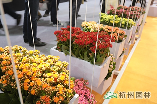 彩运网(中国游)官方网站