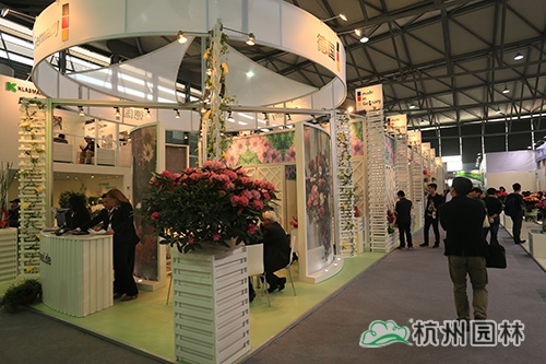 彩运网(中国游)官方网站