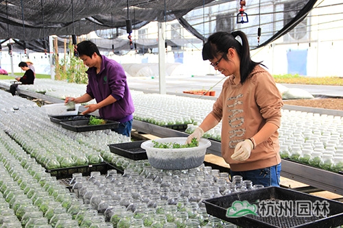 彩运网(中国游)官方网站