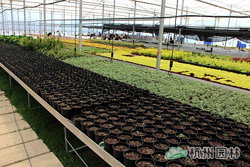 彩运网(中国游)官方网站