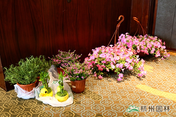 彩运网(中国游)官方网站