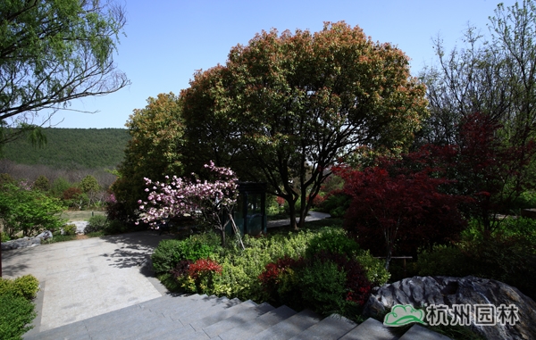 彩运网(中国游)官方网站