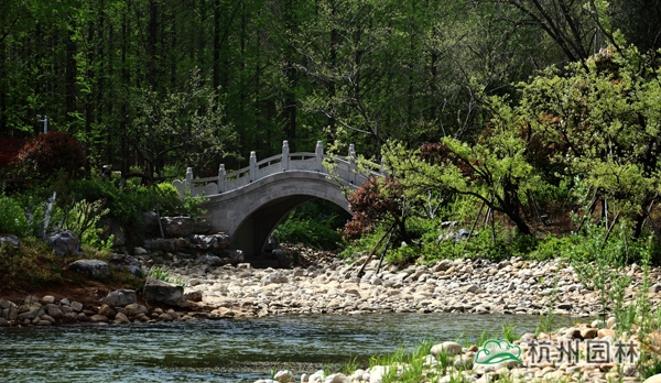 彩运网(中国游)官方网站