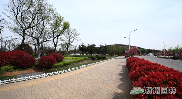 彩运网(中国游)官方网站