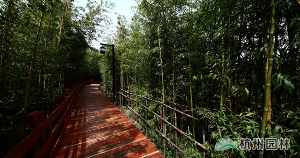 彩运网(中国游)官方网站