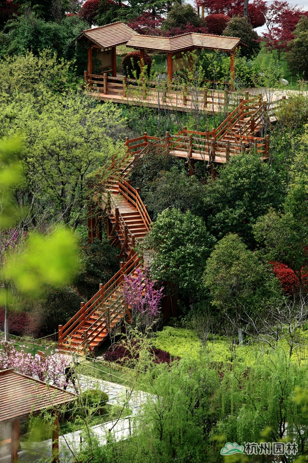 彩运网(中国游)官方网站