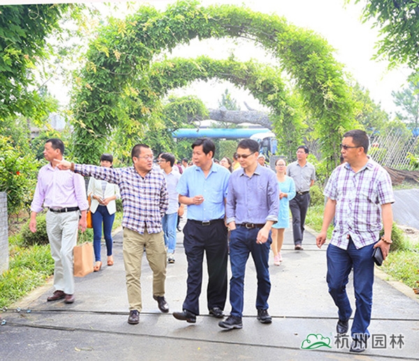 彩运网(中国游)官方网站