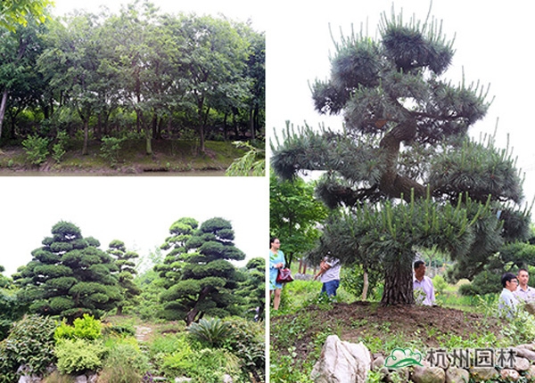 彩运网(中国游)官方网站