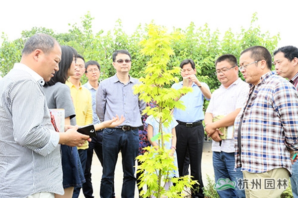 彩运网(中国游)官方网站