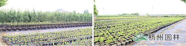 彩运网(中国游)官方网站