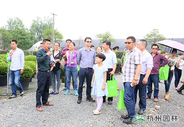 彩运网(中国游)官方网站