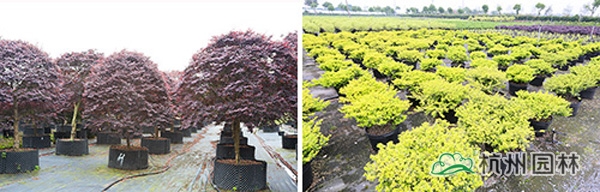 彩运网(中国游)官方网站