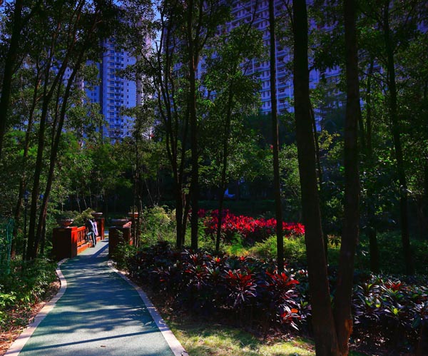 彩运网(中国游)官方网站